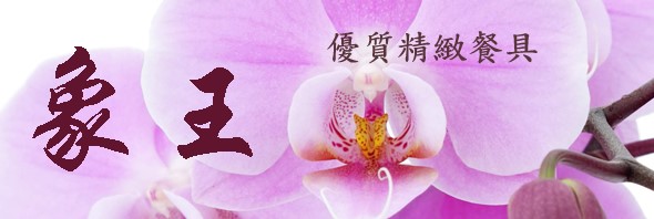 象王