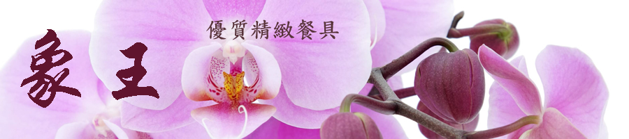 象王